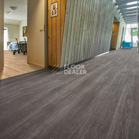 Forbo Allura Click Pro 60375CL5 grey collage oak фото 2 | FLOORDEALER